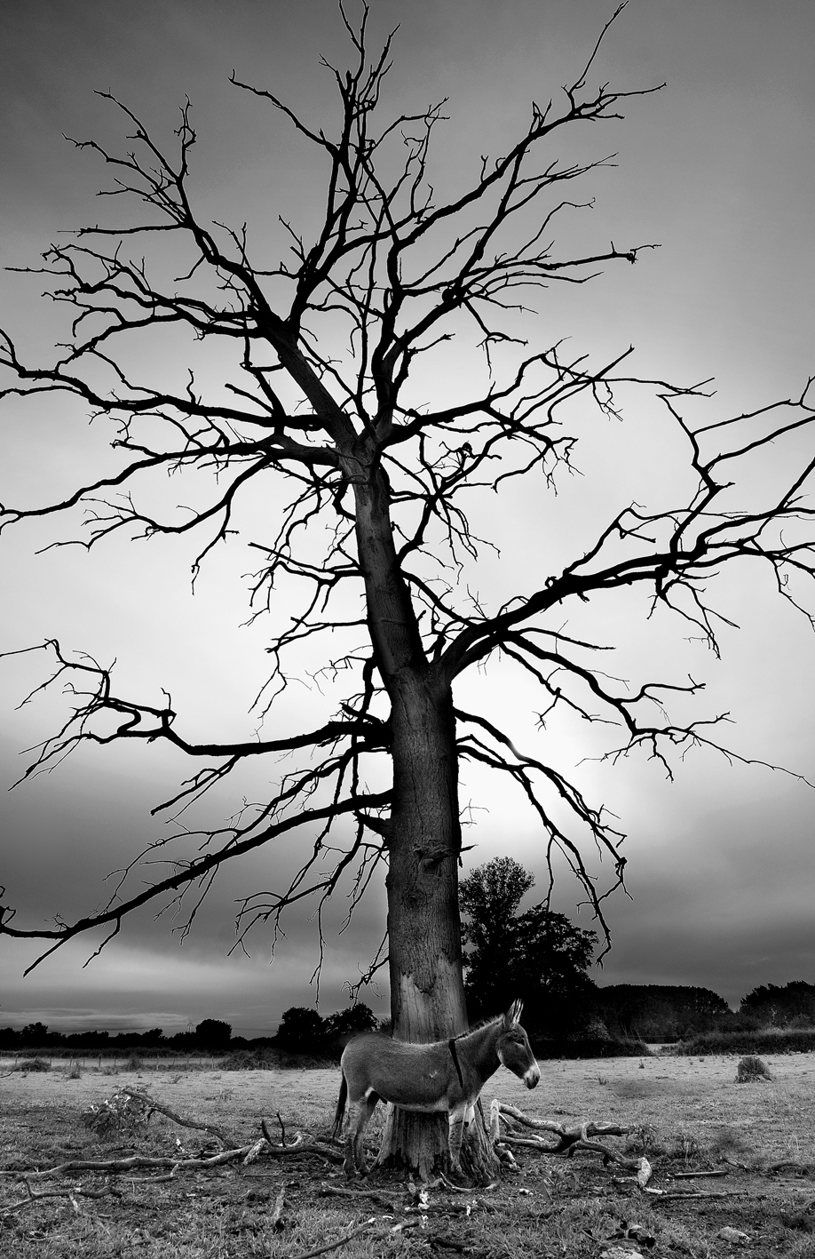 Paysage 3